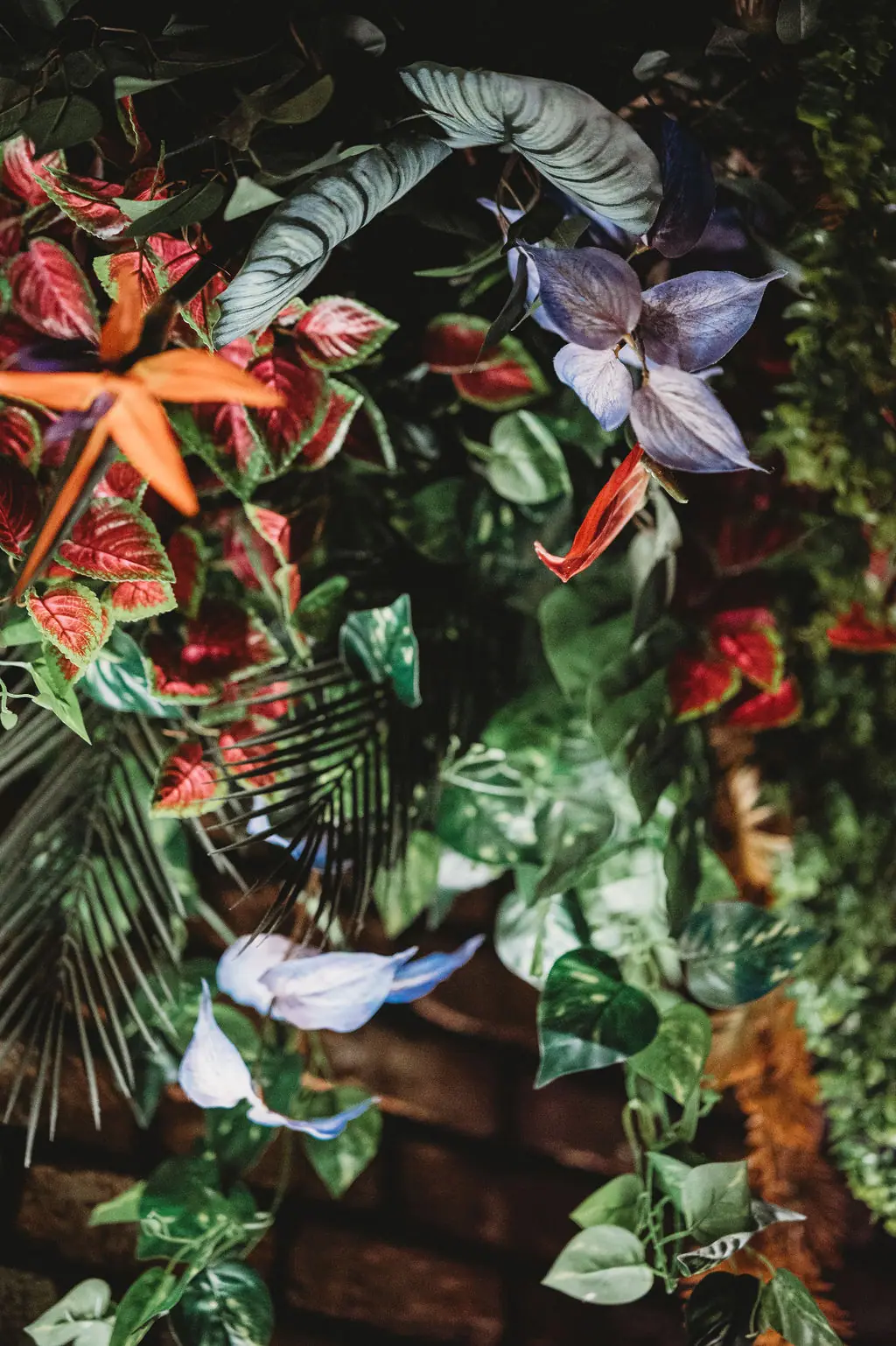 Close-up of tropical foliage and flowers hanging from the ceiling