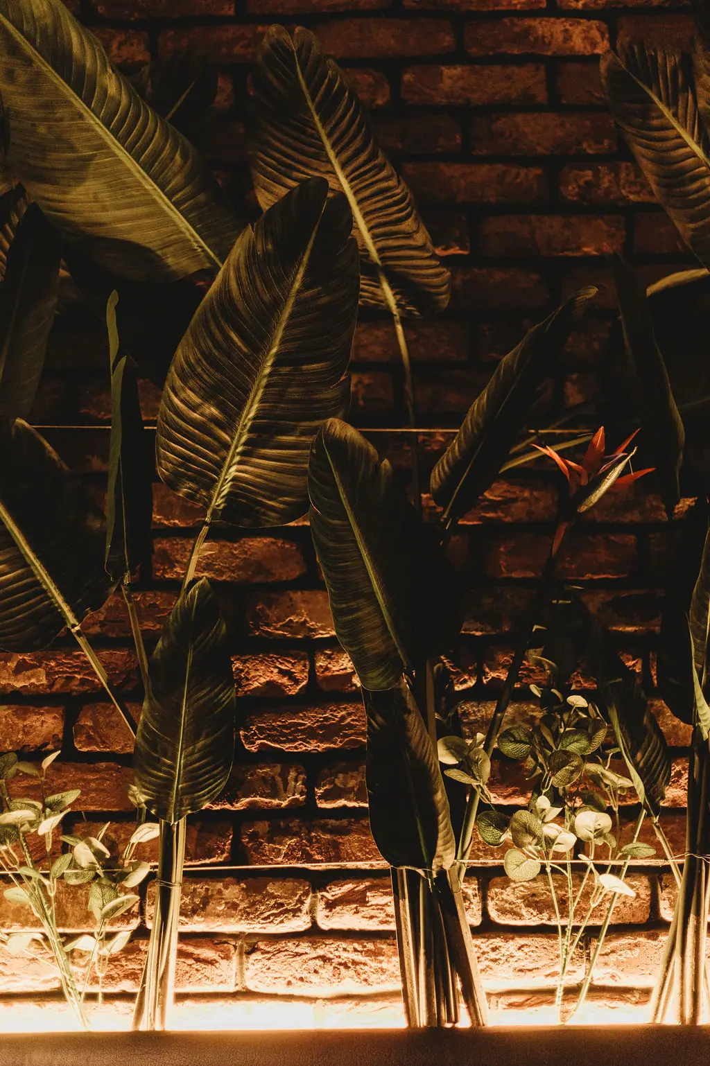 Tropical leaves lit against a brick wall
